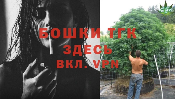 эйфоретик Арсеньев