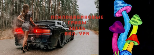 эйфоретик Арсеньев