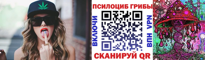 Псилоцибиновые грибы Magic Shrooms  где можно купить наркотик  Гатчина 